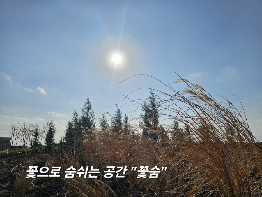 꽃;숨 이미지
