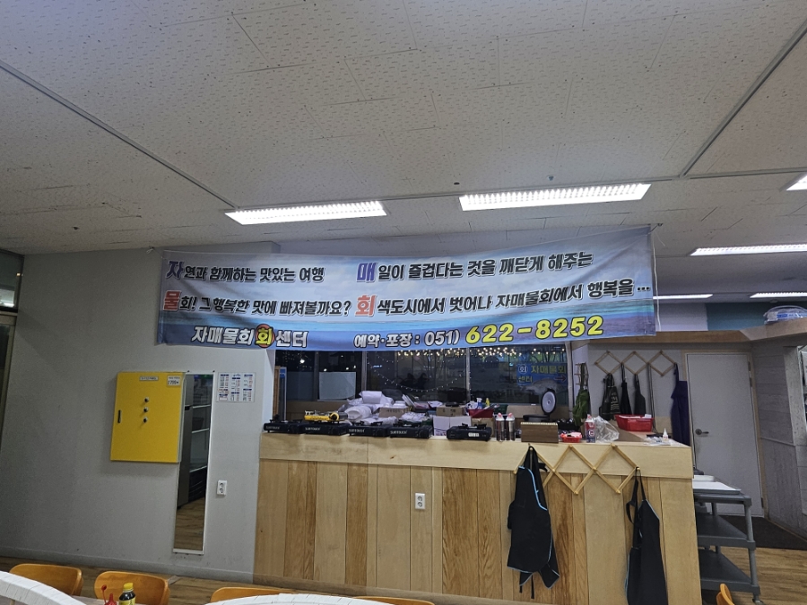자매물회 이미지