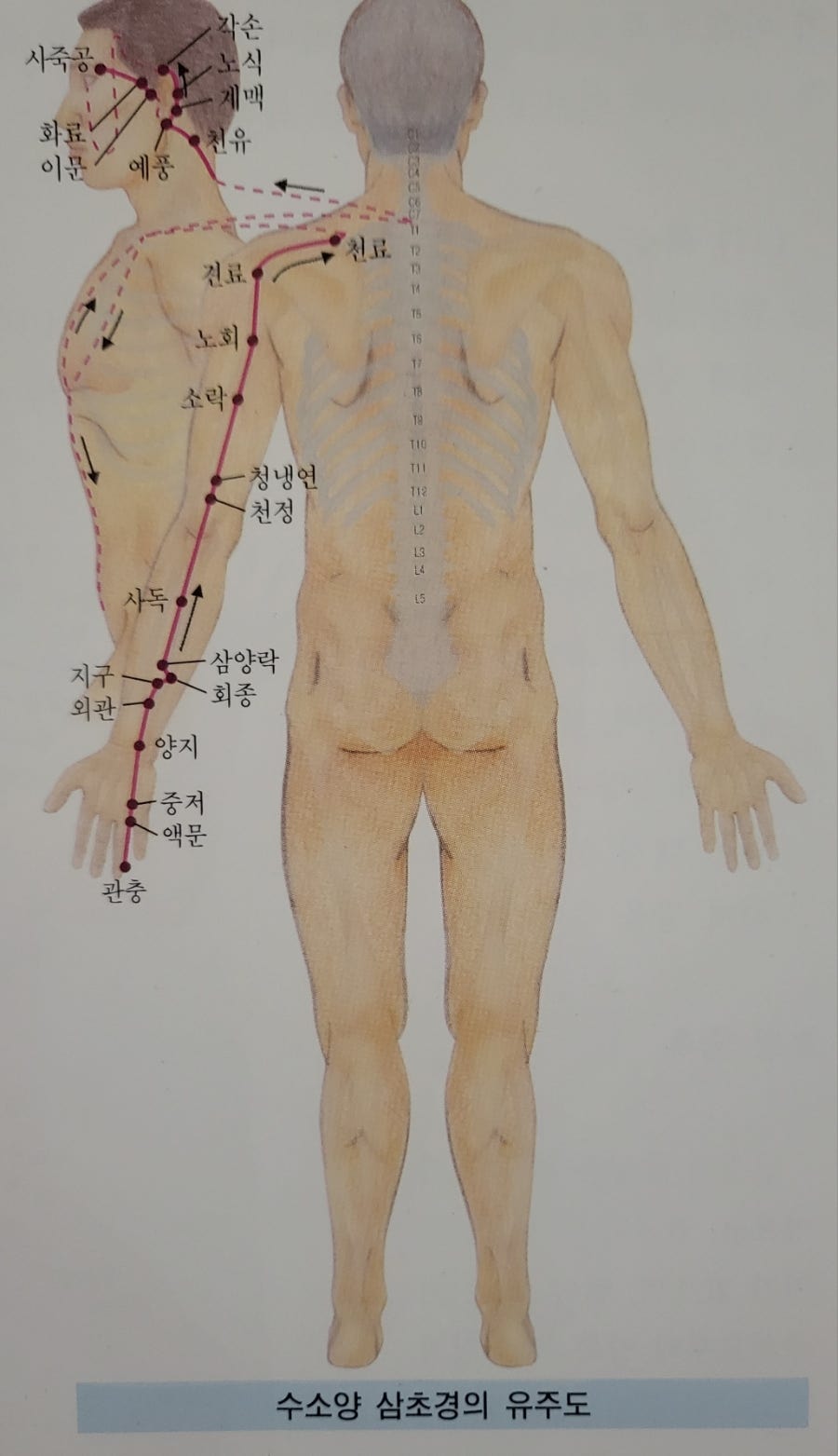 상열전기 이미지