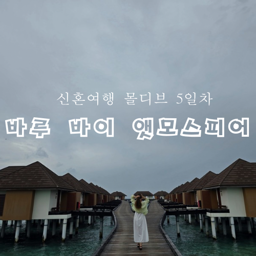 체크앤바이 이미지