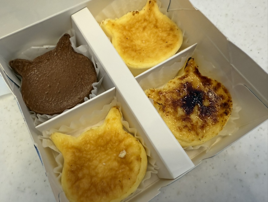 냥치케 여수 이미지