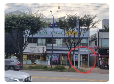 송하낙지 이미지