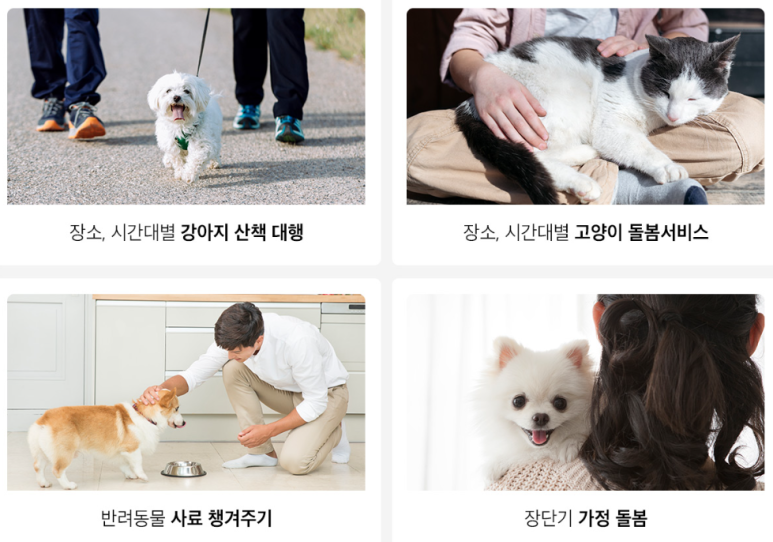 이노베이트컨설팅 이미지
