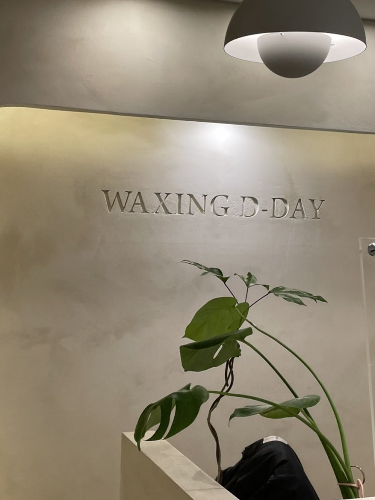 왁싱데이(Waxing Day) 이미지