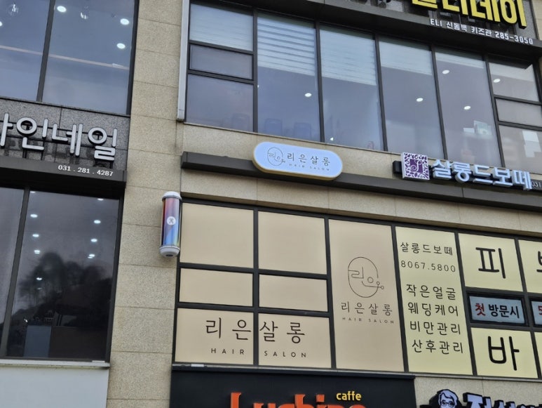 살롱;동백 이미지