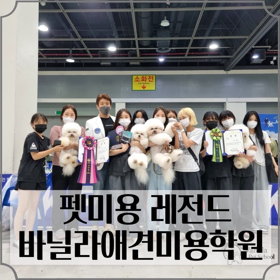 바닐라애견미용학원 이미지