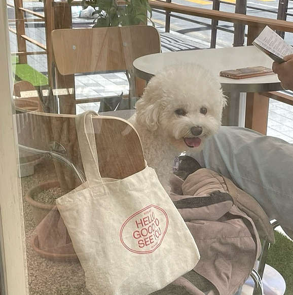 샐블리즈 일산본점 이미지