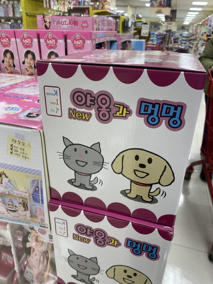 홍헤원 이미지