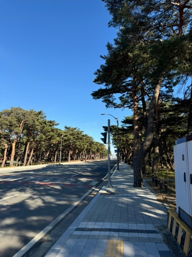 산토니아커피 이미지