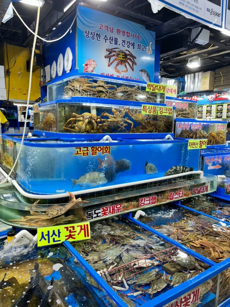 가락싱싱 이미지