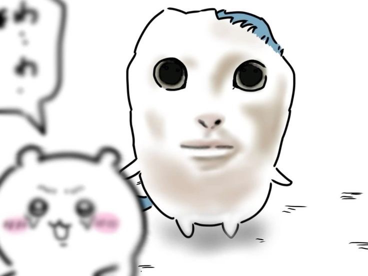 하라매 이미지