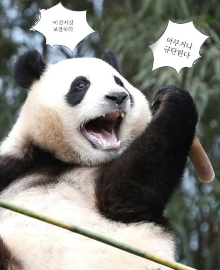 디자인필드 이미지