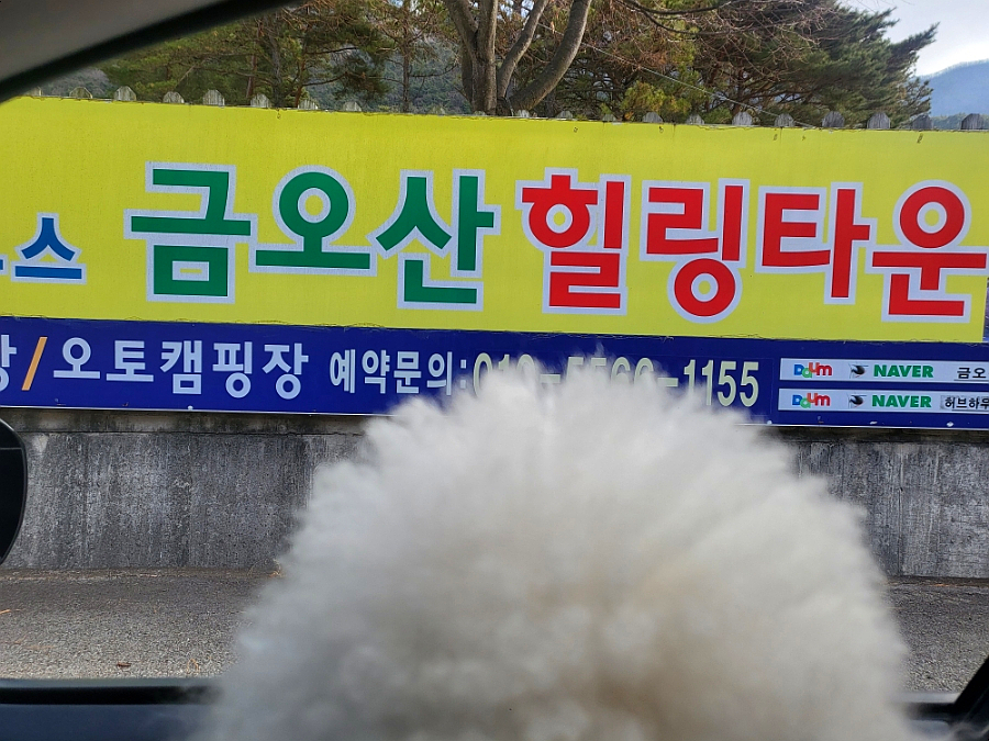 금오산풀타운 이미지