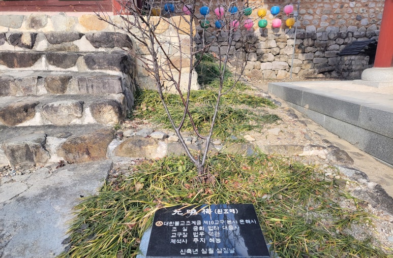 자인면 이미지