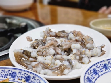 달락달리도낙지 이미지