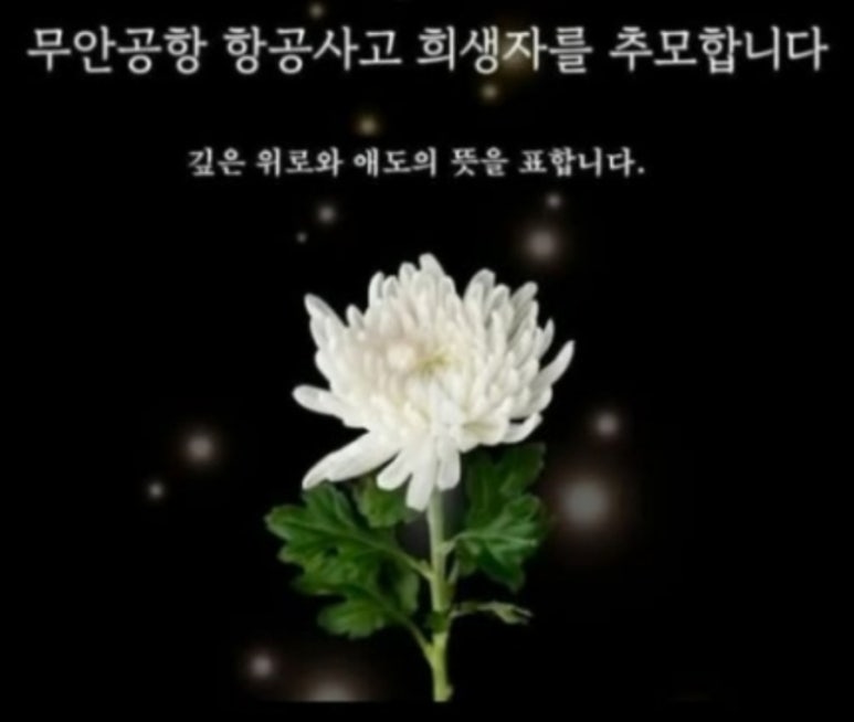 다솜코딩 이미지