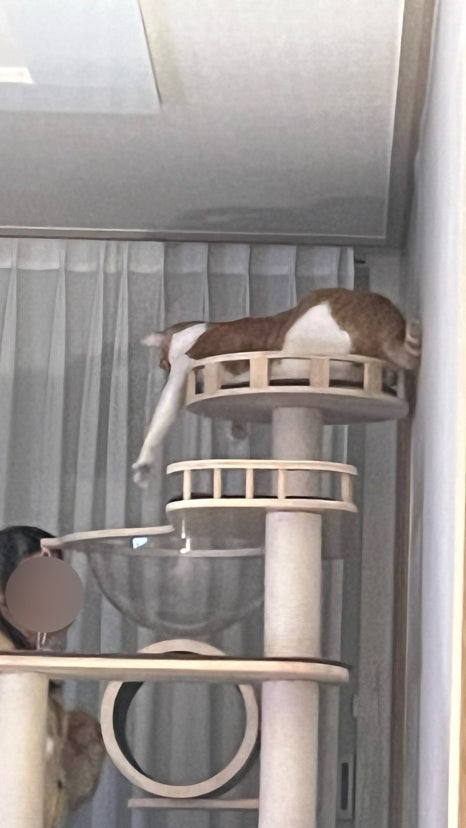다은이네국밥집 이미지