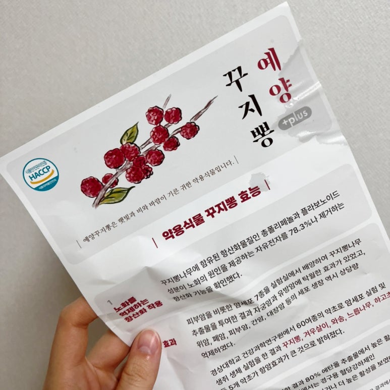 예양꾸지뽕 이미지