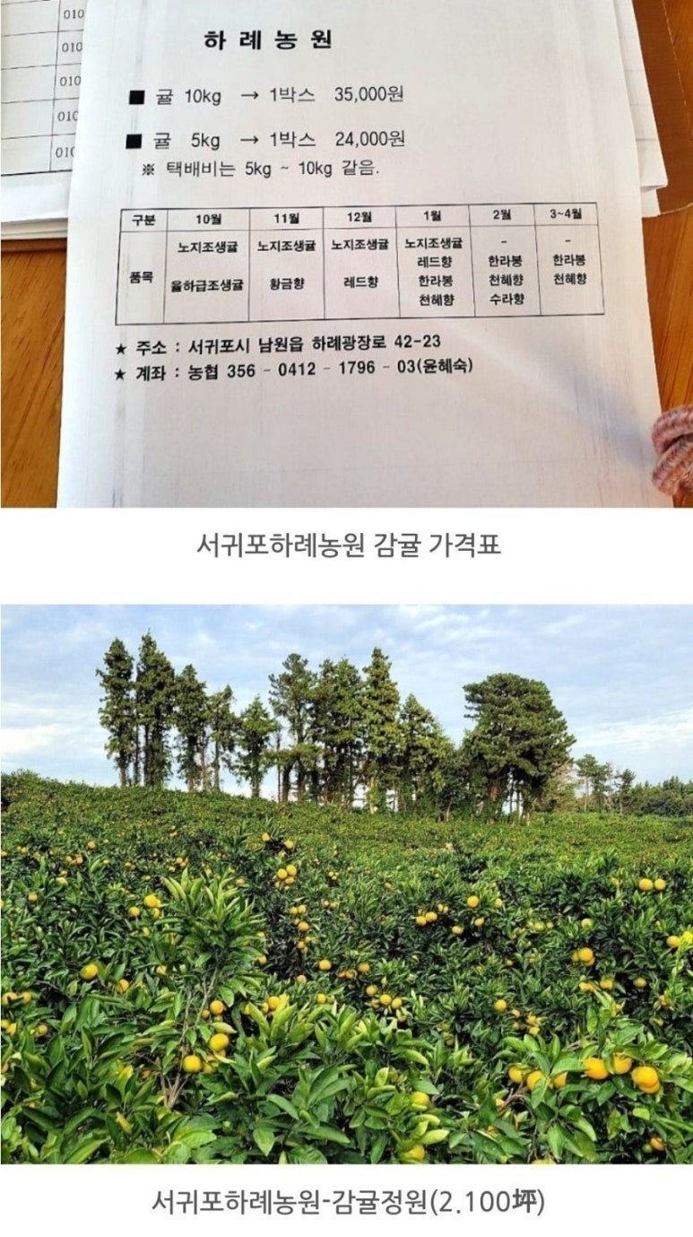 123몰 이미지