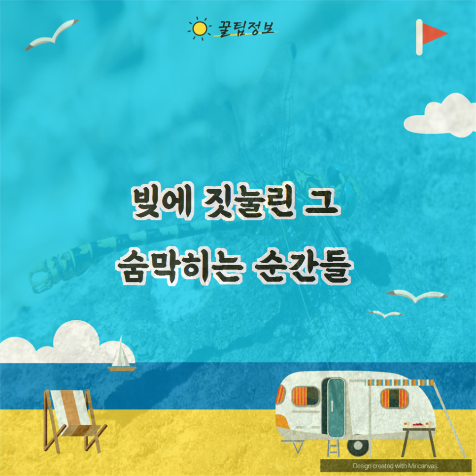 법률사무소숨 이미지