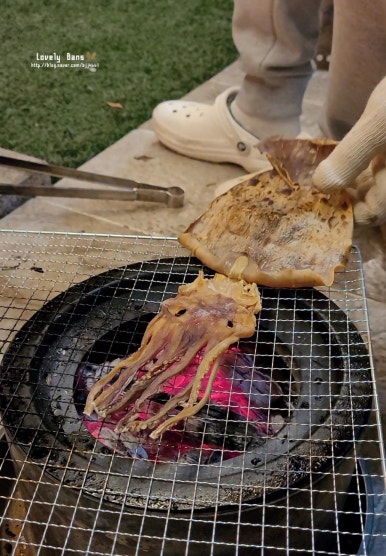 하이몽 이미지