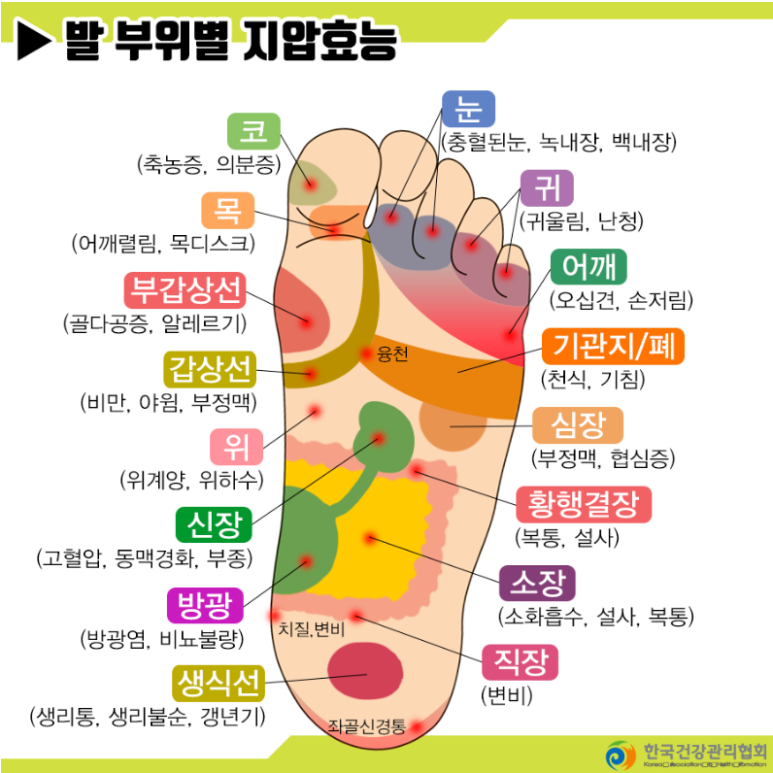 기마사지 이미지