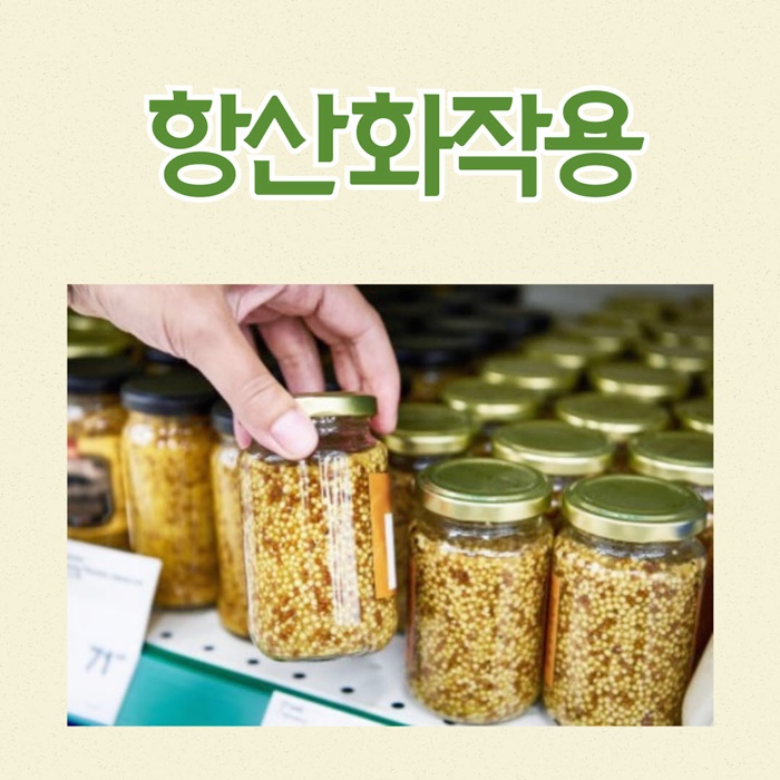 겨자씨 효능 8가지와 부작용 : 네이버 블로그