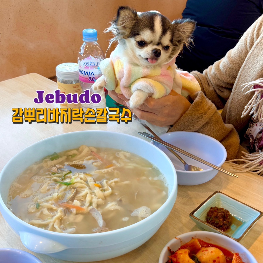 감뿌리손칼국수 이미지