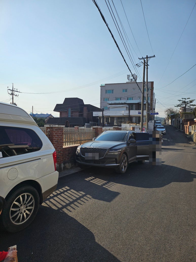 강릉;앨리스 이미지