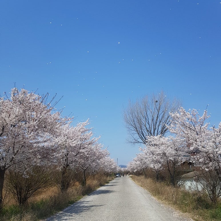 낙동연잎마을협동조합 이미지