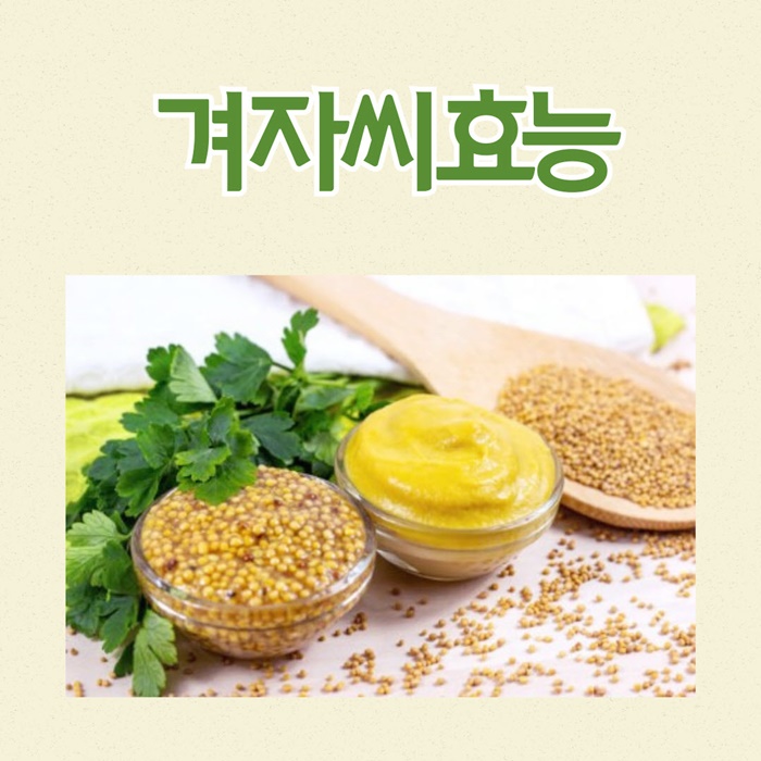 겨자씨 효능 8가지와 부작용 : 네이버 블로그
