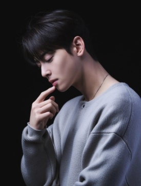 아리헤어 이미지