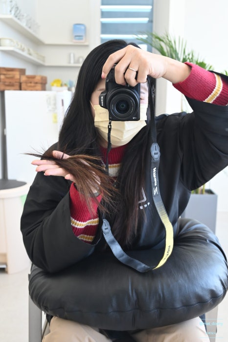 와이엘 이미지
