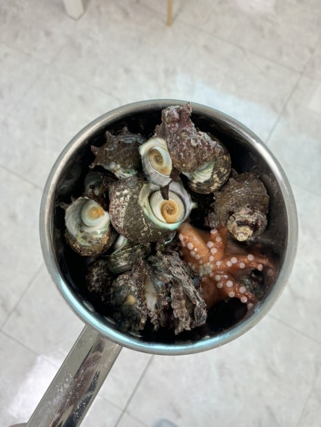 감포비치하우스 이미지