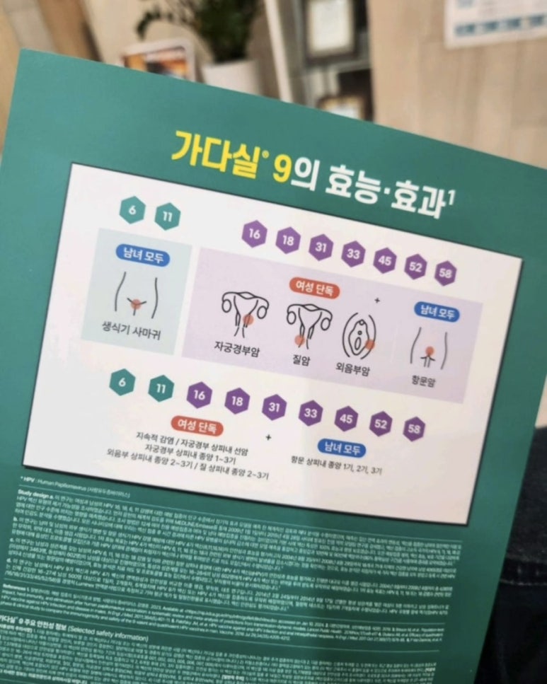 서초수비뇨기과 이미지