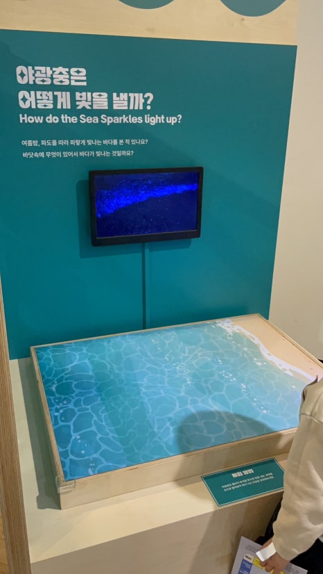 점핑파크 계양점 이미지