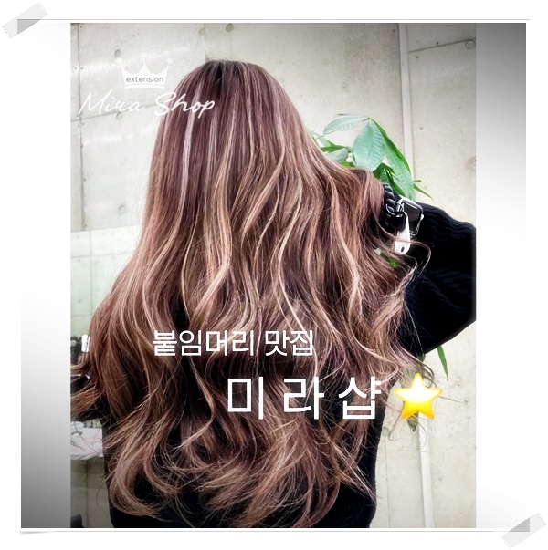대전붙임머리 미라샵 이미지