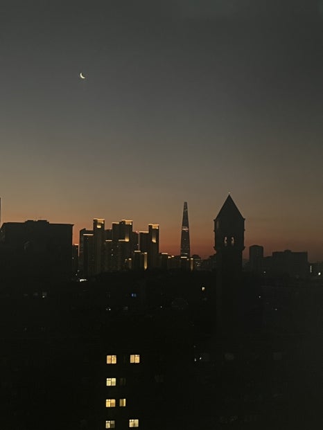 혀기지니 이미지