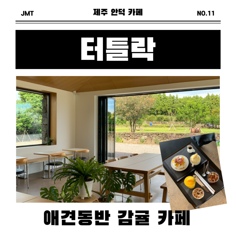 터틀락 이미지