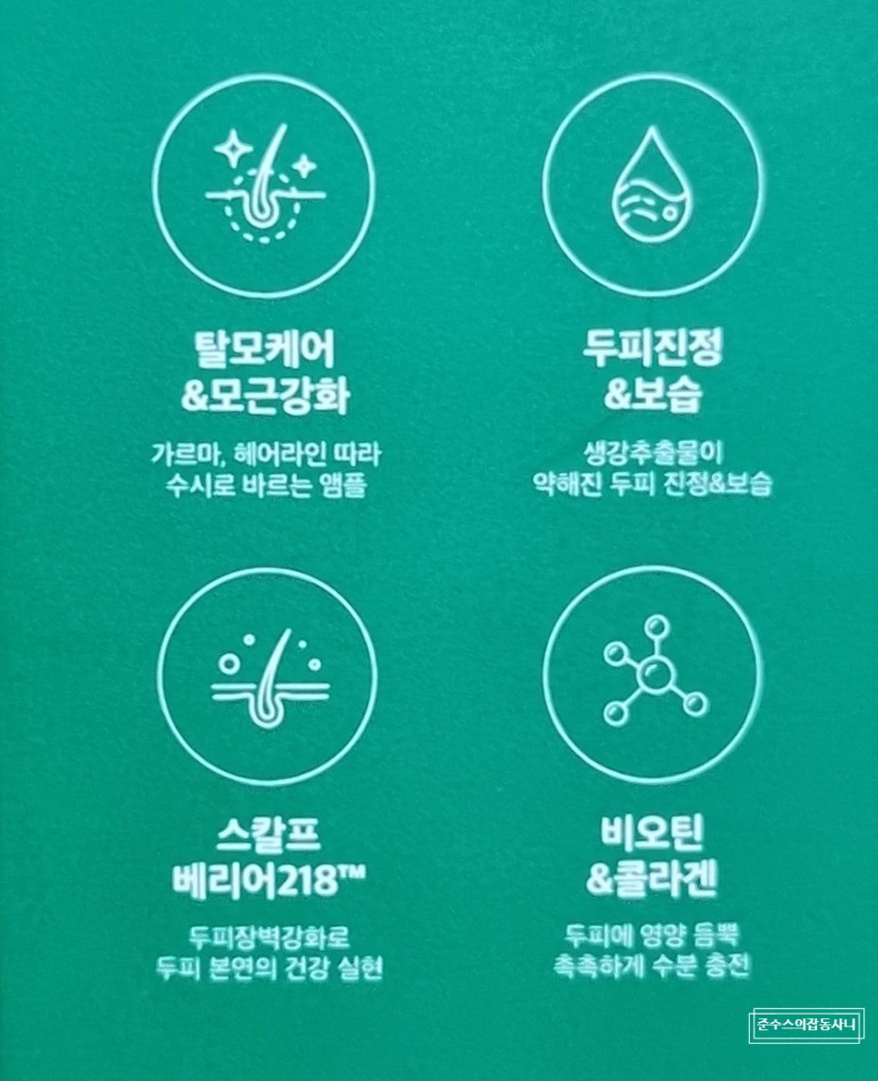 엠플라인 이미지