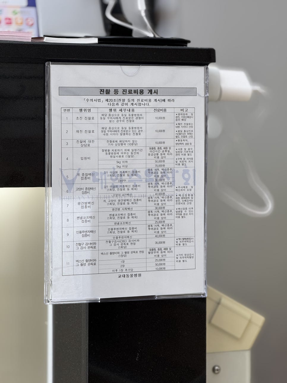14세 푸들 안과 검진: 교대동물병원 노령견 눈 건강 관리 — 사진 19