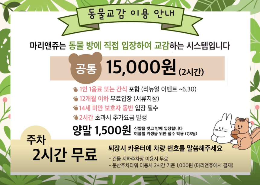 마리앤쥬 이미지