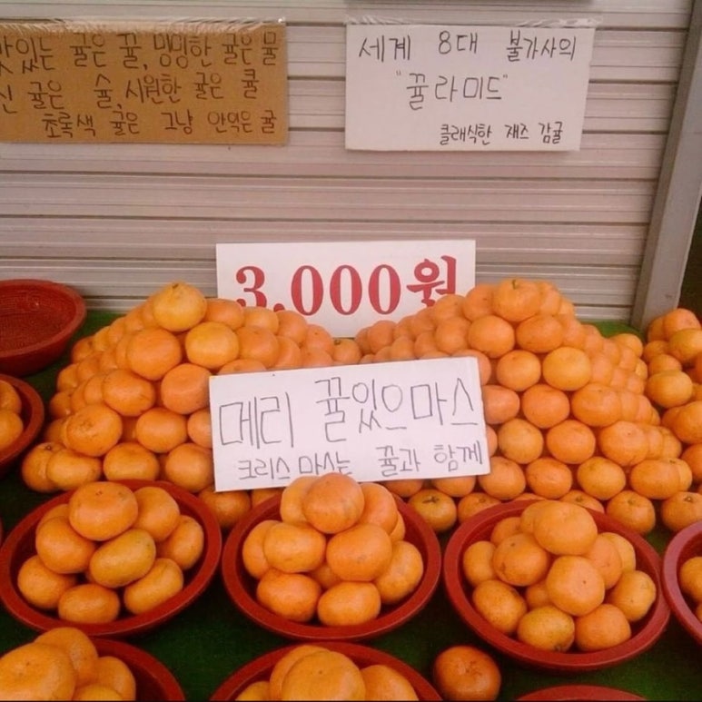 메리위 이미지