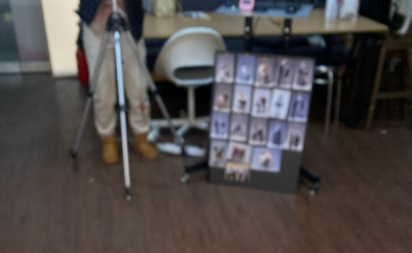 와이테일 이미지