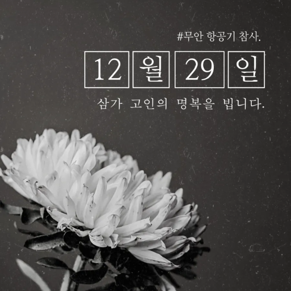 카페니드 이미지