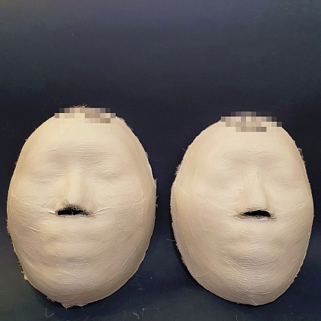 아그니아 이미지