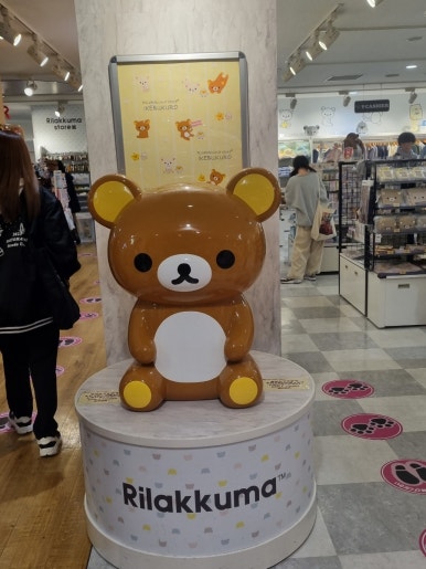 케이드림샵 이미지