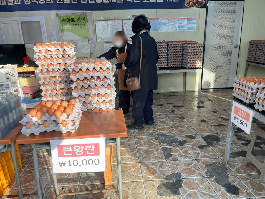계란직판장 이미지