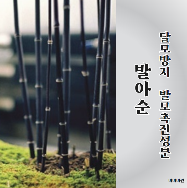 비비비원 이미지