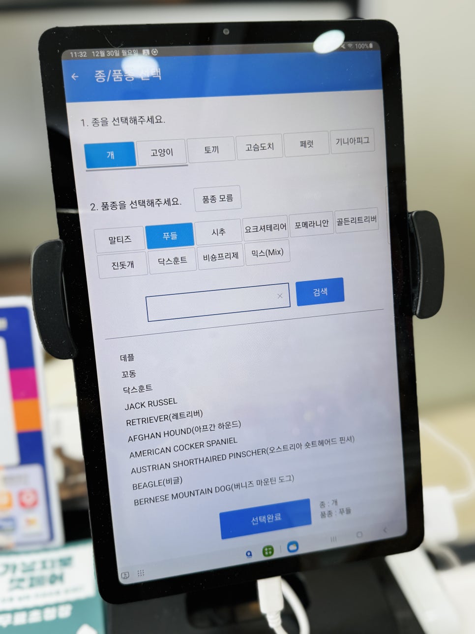 14세 푸들 안과 검진: 교대동물병원 노령견 눈 건강 관리 — 사진 5